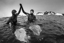 Surf. Cavalcare un’onda in Antartide, l’impresa di Navarro