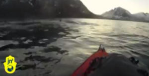 Norvegia, esce in mare con il kayak e incontra un gruppo di balene