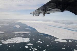 Artico, estate 2013 la più calda da 44mila anni fa: lo rivela il muschio