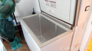 Maria Musitano, il cadavere ritrovato nel congelatore della sua casa a Delianuova