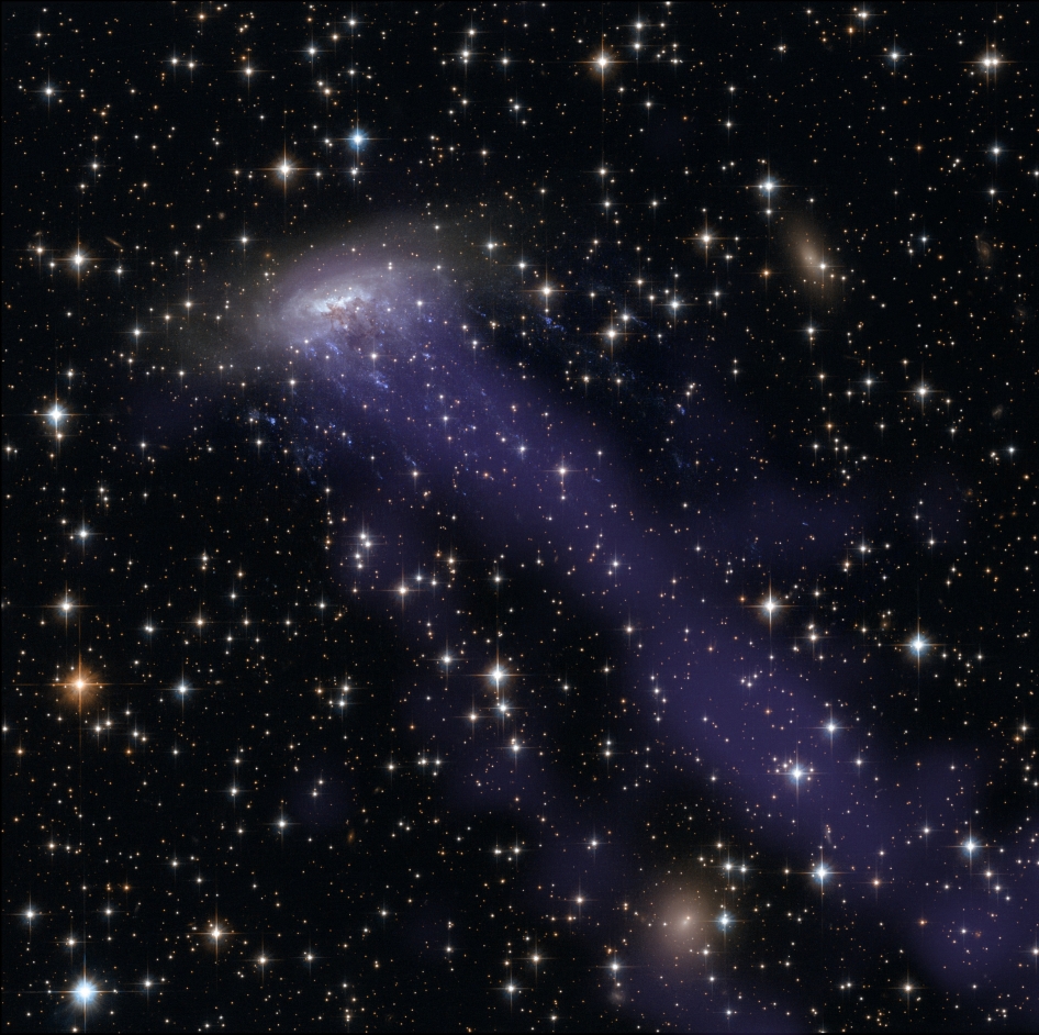 Galassia a spirale come un fiore: "semina" stelle nello spazio. La foto della Nasa