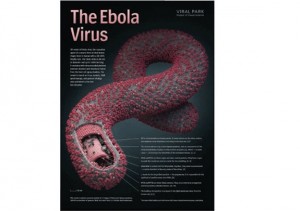 Virus Ebola, caso sospetto in Canada