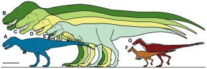 Nanuqsaurus hoglundi, il dinosauro nano che viveva al Polo Nord (video)