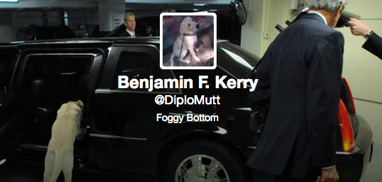 Twitter, un account per Benkiamin F. Kerry, il cane di John Kerry