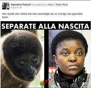 Agostino Pedrali: "Cecile Kyenge come scimmia". Ex assessore leghista condannato