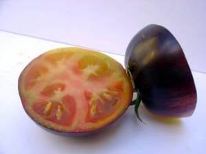 SunBlack, pomodoro nero in vendita: ricco antiossidanti, ma non è un ogm...