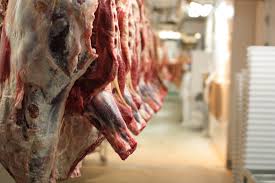 Carne bovina infetta venduta da Verona a Potenza come pregiata: sequestrata