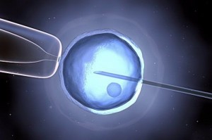Embrioni scambiati, genitori biologici: "Li registreremo all'anagrafe"