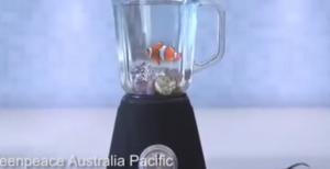 Greenpeace, spot anti carbone: "Se continua così pesciolino Nemo finisce nel frullatore"