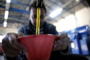 Olio d'oliva tarocco venduto come biologico: 16 arresti ad Andria