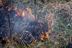 Torchiarolo (Brindisi), Crocefisso Fina muore bruciando erba secca in campagna
