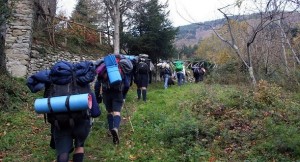 Cosenza, 16 scout dispersi in Sila: avviate le ricerche  