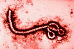 Ebola, Obama: "Epidemia fuori controllo, 3mila soldati Usa in Africa"