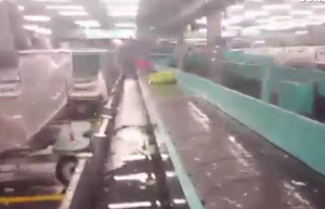 Pioggia a Fiumicino: acqua su valigie, prese elettriche e operai VIDEO