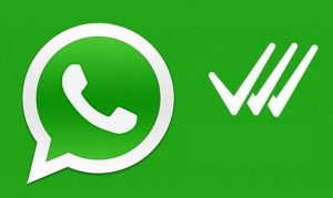 Whatsapp, arriva la terza "spunta": dice se il messaggio inviato è stato letto