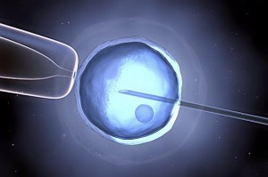 Scambio embrioni al Pertini, Strasburgo rigetta ricorso dei genitori biologici