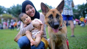 Malesia, fatwa dei leader islamici: "Bambini non accarezzino cani, sono impuri"
