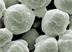 Google X, nanoparticelle a caccia di cancro e malattie nel corpo 