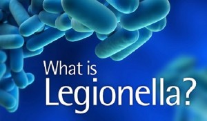 Legionella, cos'è? Contagio, sintomi, chi è a rischio