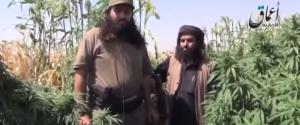 Libano, coltivatori marijuana al confine con Siria armati fino ai denti contro Isis