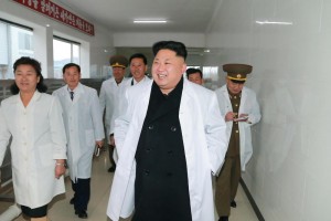 Kim Jong Un beve vino di cobra per aumentare la virilità