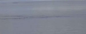 Mostro di Loch Ness, strana onda nell'acqua. E' Nessie? VIDEO