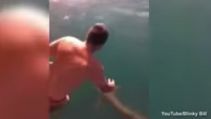 Australia, vede squalo tigre in acqua e si lancia per prenderlo VIDEO