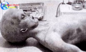 Foto autopsia alieno del 1947, per ufologi è autentica VIDEO