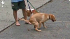 Napoli, richiama proprietario cane e viene accoltellato
