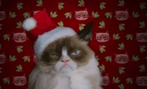 Grumpy Cat, gatto imbronciato che ha reso milionaria la sua padrona VIDEO