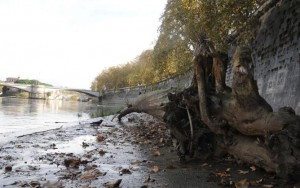 Roma, due cadaveri nel Tevere tra Ponte Marconi e il Gra: in acqua da 3 giorni