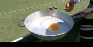 Partita di cricket, caldo infernale. Giornalista cuoce uovo in padella VIDEO