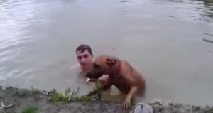  si getta nel lago e finge annegamento, il suo cane lo salva
