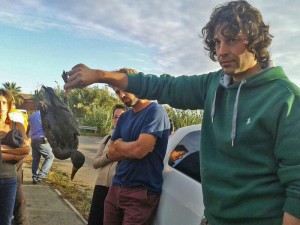 Sequestrato l’oleodotto Civitavecchia-Fiumicino, il gip: “Danni ambientali” (foto Ansa)