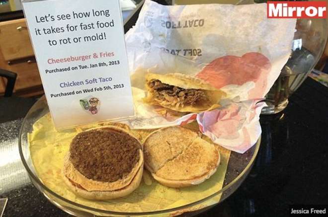 Cheeseburger McDonald's lasciato all'aperto per 2 anni: ecco cosa succede FOTO