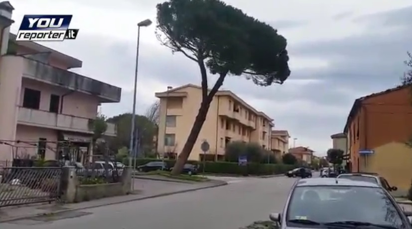 Agliana (Pistoia), albero cade vicino scuola media VIDEO YouReporter