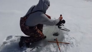 VIDEO YouTube: fanno un foro sul lago ghiacciato e "pescano" anatra ancora viva 