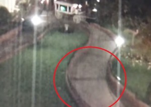 VIDEO YouTube - Fantasma a Disneyland? Nel filmato della sicurezza spunta...
