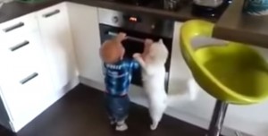 VIDEO YouTube: bimbo si avvicina a forno, il gatto di casa lo fa allontanare