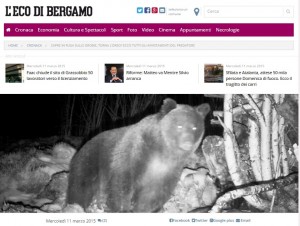 Un orso terrorizza le capre tra Val Brembana e Valtellina