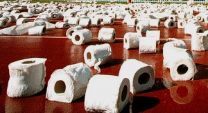Turchia, fatwa sulla carta igienica: "Si può usare se manca l'acqua"