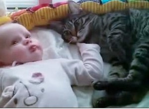 Neonato scambia gatto per peluche, ecco cosa succede VIDEO