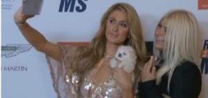 Paris Hilton piange suo chihuahua Thinkerbell: "Ho il cuore spezzato"