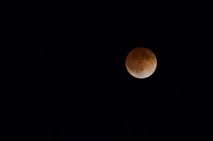 Eclissi lunare 4 aprile: Luna rossa non si vede in Italia, la diretta streaming