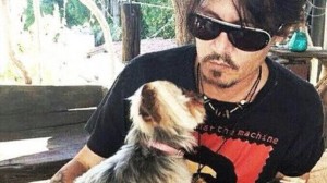 Johnny Depp porta illegalmente i suoi cani in Australia: rischiano di essere soppressi 