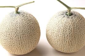 Giapponesi pazzi: due meloni venduti all'asta per 11mila €. "Sono portafortuna"