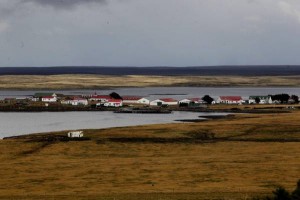 Isole Falkland  (foto Ansa)