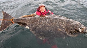 Video YouTube, pesca halibut da 100 chili e lungo 2 metri: non entra nella barca