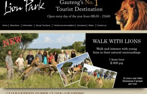 Sud Africa, turista sbranata da un leone al safari: aveva il finestrino aperto