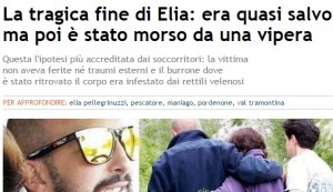 Elia Pellegrinuzzi morto: morso da una vipera mentre risaliva